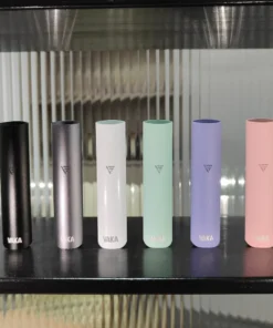 VAKA scaled 1 e1731057524939